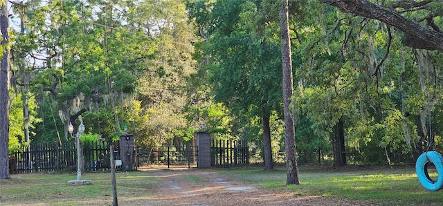 view of community with fence and a gate