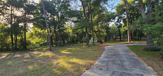 view of road with driveway and a view of trees