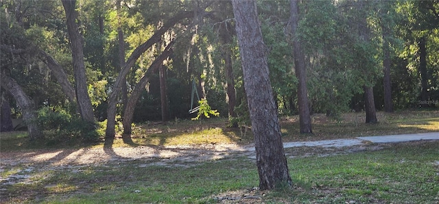 view of yard with a forest view