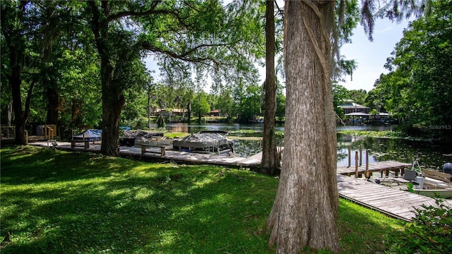 view of yard with a boat dock and a water view