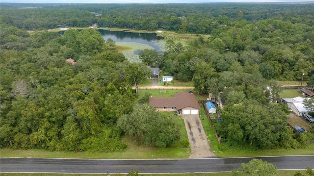 1081 SE 170th Ave, Silver Springs, FL 34488 - aerial view of property's location featuring a forest and a large body of water