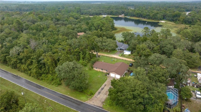 1081 SE 170th Ave, Silver Springs, FL 34488 - view of property location with a heavily wooded area and a large body of water