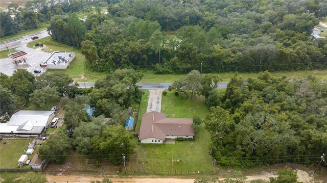 1081 SE 170th Ave, Silver Springs, FL 34488 - view of property location with a forest
