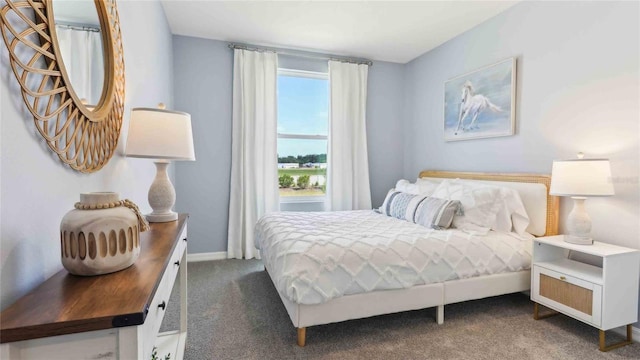 6591 SW 81st Loop, Ocala, FL 34476 - bedroom featuring carpet flooring