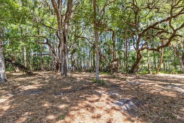 view of nature featuring a wooded view