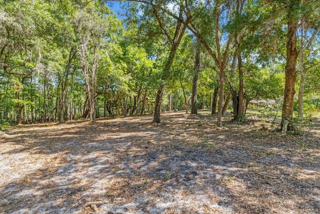 view of local wilderness with a forest view