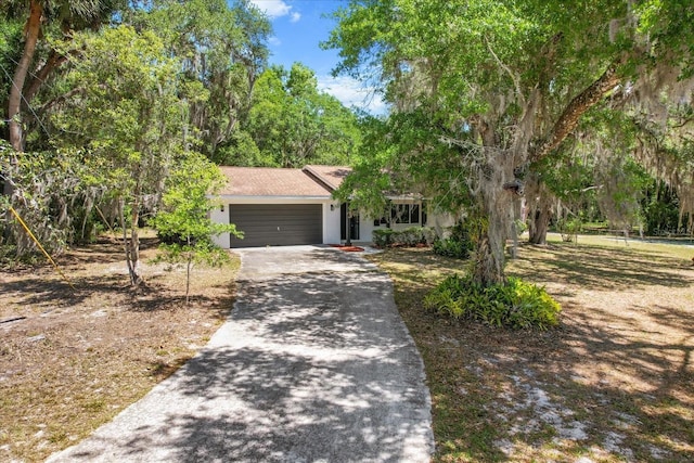 view of property hidden behind natural elements featuring stucco siding, driveway, and a garage