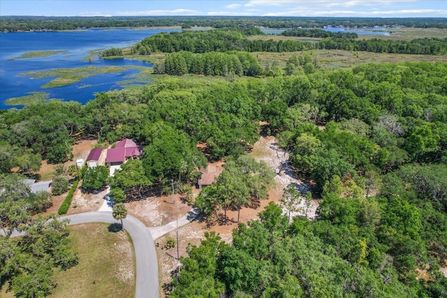 drone / aerial view featuring a view of trees and a water view