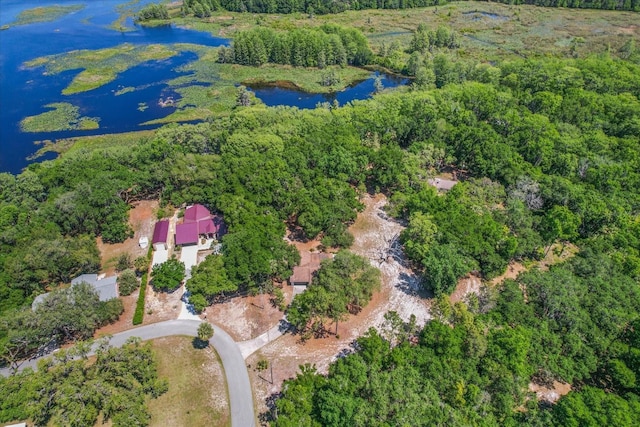 bird's eye view with a water view and a wooded view