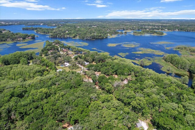 bird's eye view featuring a view of trees and a water view