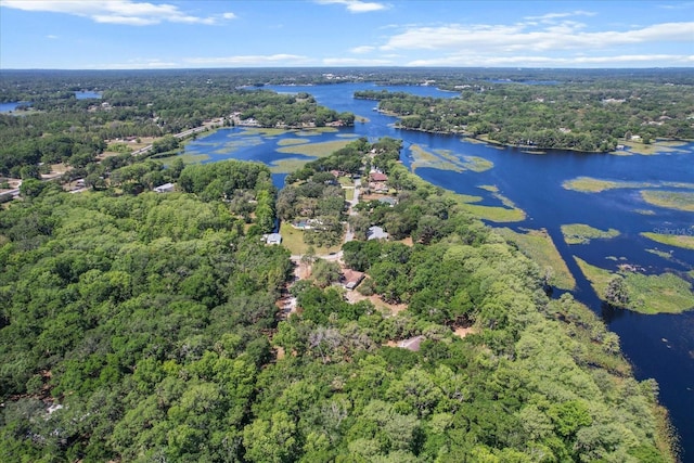 bird's eye view with a wooded view and a water view