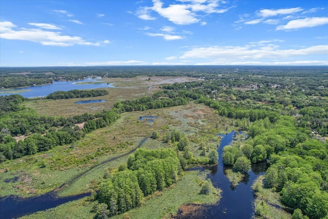 birds eye view of property featuring a forest view and a water view