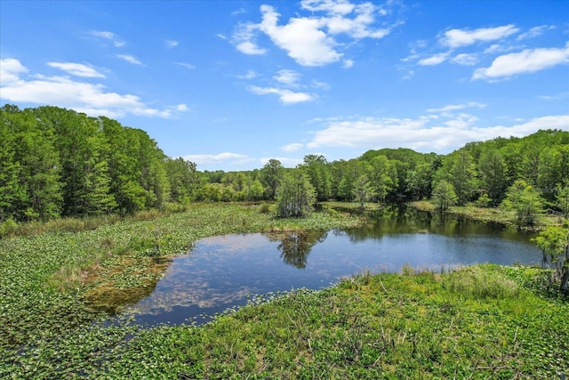 water view with a wooded view