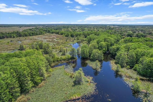 drone / aerial view with a view of trees and a water view
