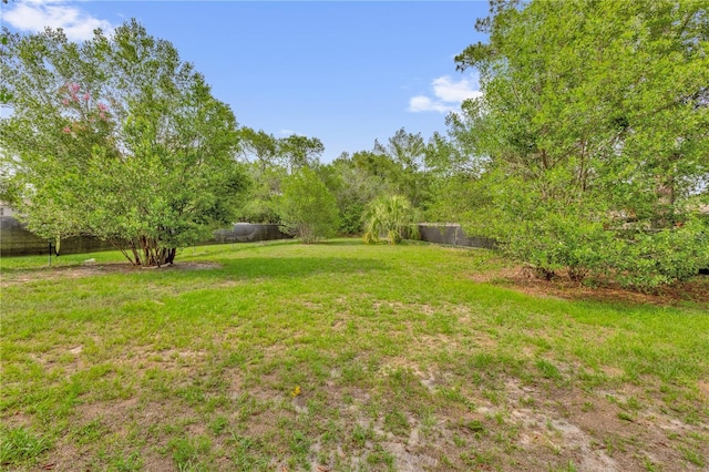 3807 SW 143rd Lane Rd, Ocala, FL 34473 - view of yard