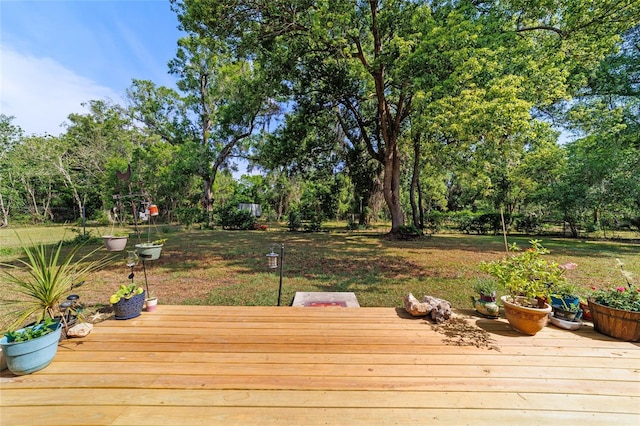 wooden deck featuring a yard