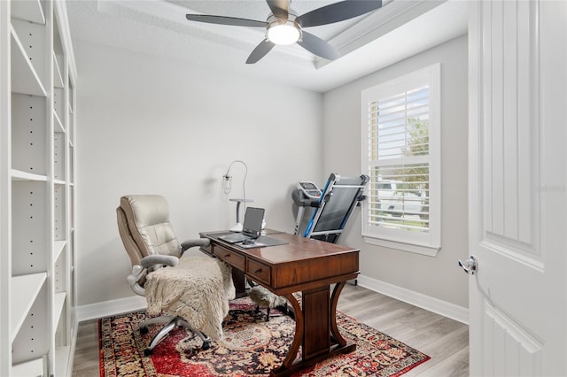 6816 SW 95th Cir, Ocala, FL 34481 - office area featuring ceiling fan, baseboards, light wood-style floors, and a raised ceiling