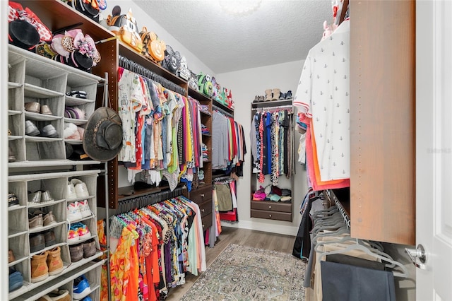 6816 SW 95th Cir, Ocala, FL 34481 - walk in closet with wood finished floors