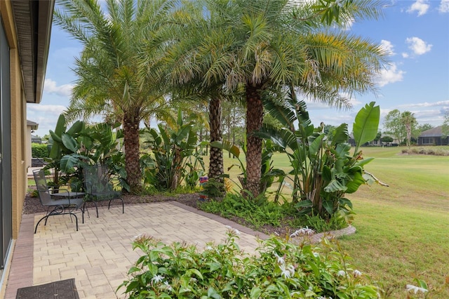 6816 SW 95th Cir, Ocala, FL 34481 - view of patio