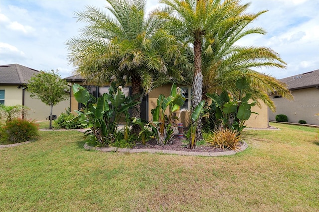 6816 SW 95th Cir, Ocala, FL 34481 - view of yard