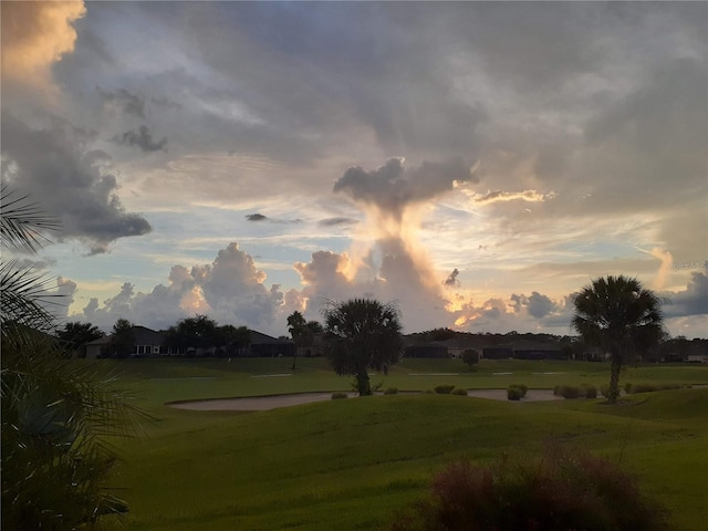 6816 SW 95th Cir, Ocala, FL 34481 - view of property's community featuring a yard
