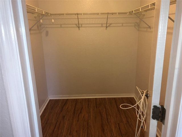 9896 SW 61st Ct, Ocala, FL 34476 - walk in closet with wood finished floors