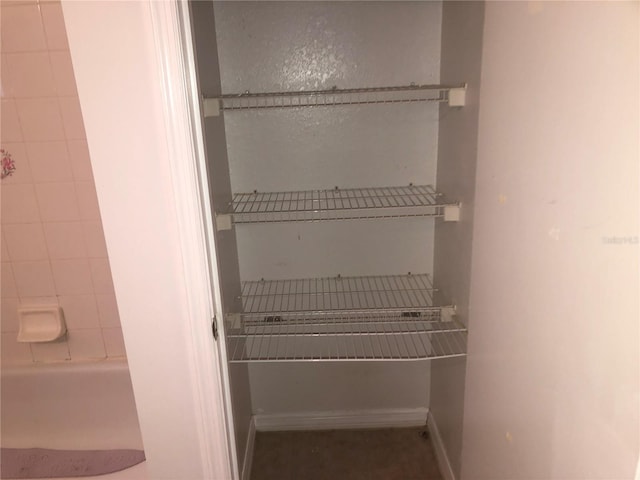 9896 SW 61st Ct, Ocala, FL 34476 - view of closet