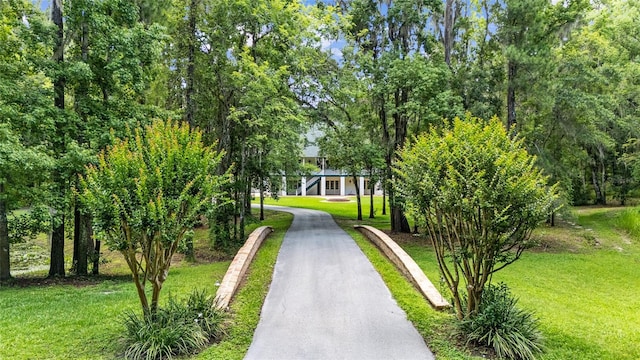 950 SW 43rd Pl, Ocala, FL 34471 - view of community with a yard and driveway