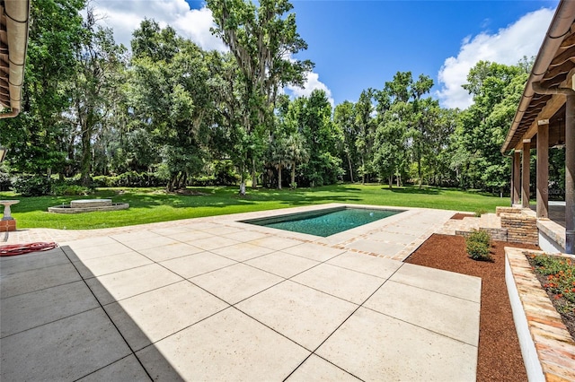 950 SW 43rd Pl, Ocala, FL 34471 - view of pool featuring a lawn and a patio area