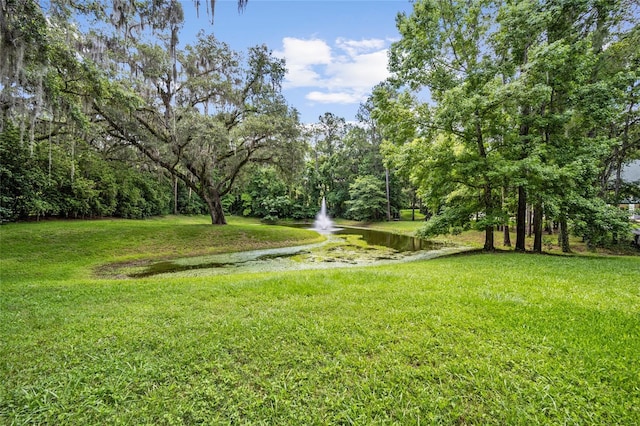 950 SW 43rd Pl, Ocala, FL 34471 - view of yard with a water view