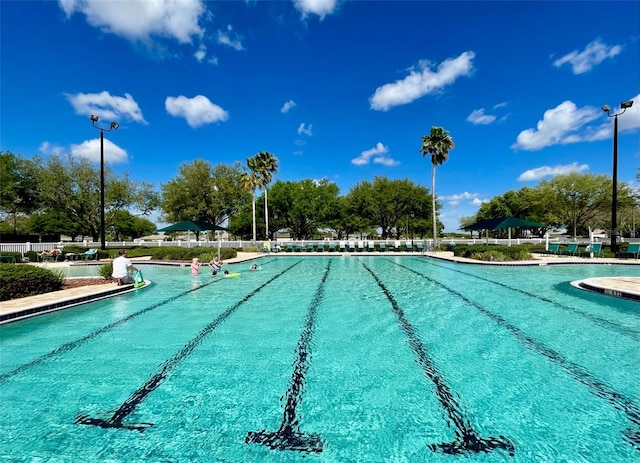 15782 SW 16th Avenue Rd, Ocala, FL 34473 - view of community pool