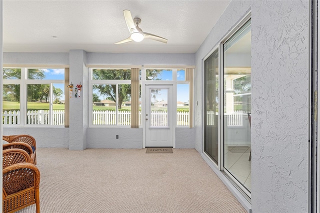 sunroom featuring a textured wall and carpet flooring