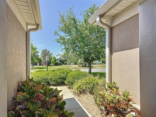 view of yard
