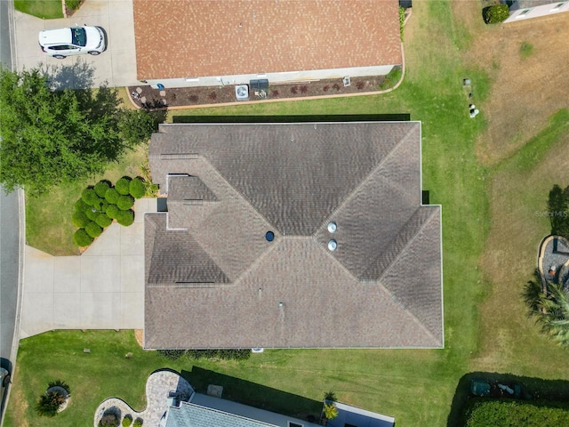 bird's eye view