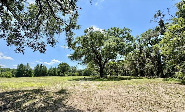 7349 NW 19th Avenue Rd, Ocala, FL 34475