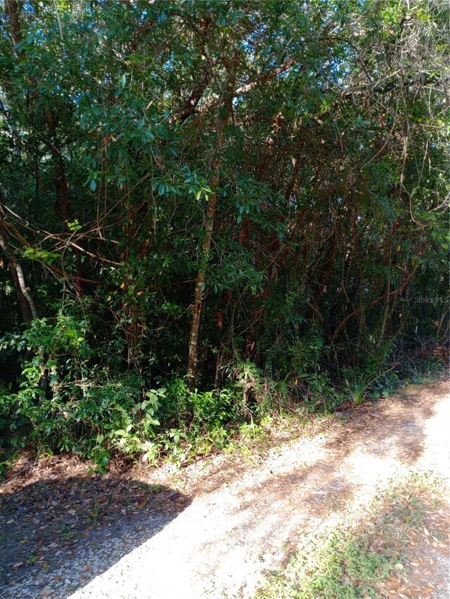 6864 W Ottas Ct, Crystal River, FL 34429 - photo 13