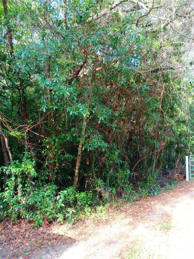 6864 W Ottas Ct, Crystal River, FL 34429 - photo 16