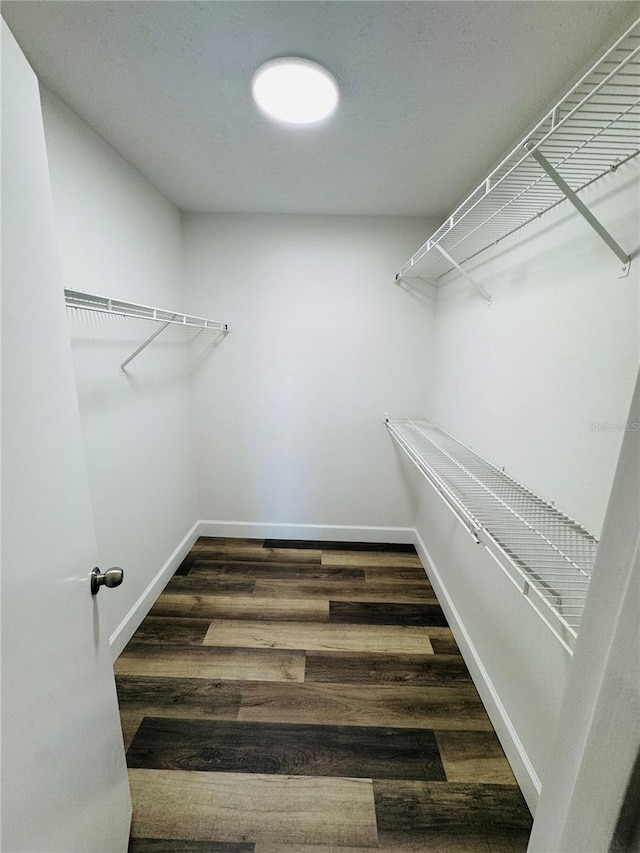 spacious closet featuring wood finished floors