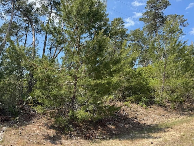 LOT17 SW 112th St, Ocala, FL 34476