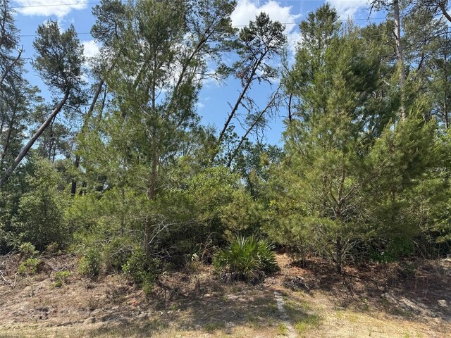 LOT17 SW 112th St, Ocala, FL 34476
