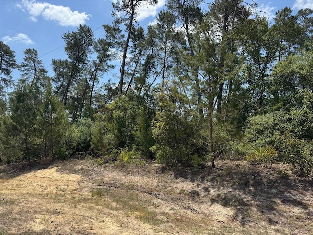 LOT17 SW 112th St, Ocala, FL 34476