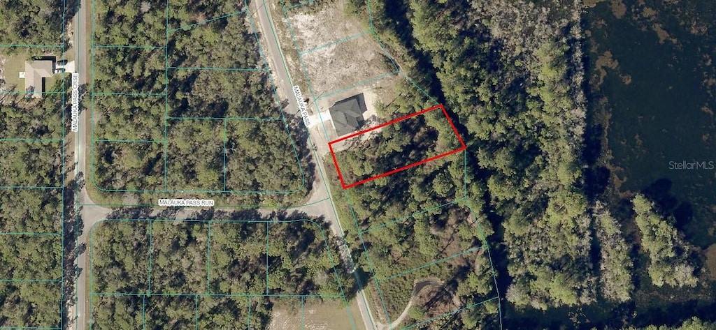 LOT25 Malauka Pass, Ocklawaha, FL 32179