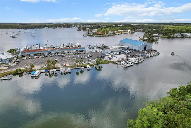 255 NW Bay Path Dr, Crystal River, FL 34428 - birds eye view of property with a water view