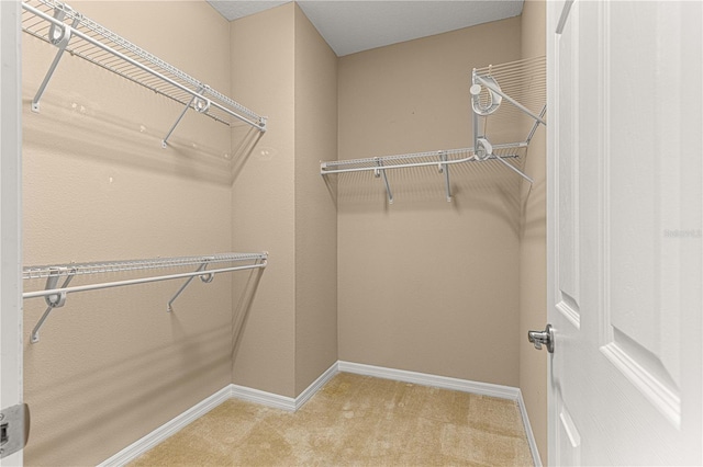 walk in closet with carpet floors