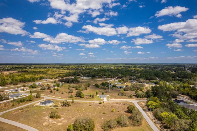 13493 SW 112th Pl, Dunnellon, FL 34432 - aerial view
