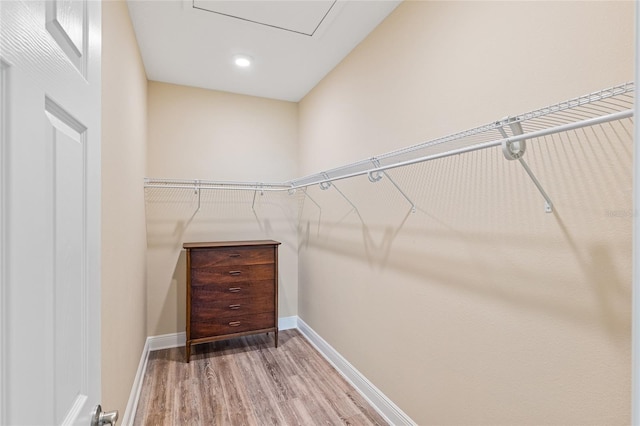 9923 SW 98th Ln, Ocala, FL 34481 - walk in closet featuring wood finished floors