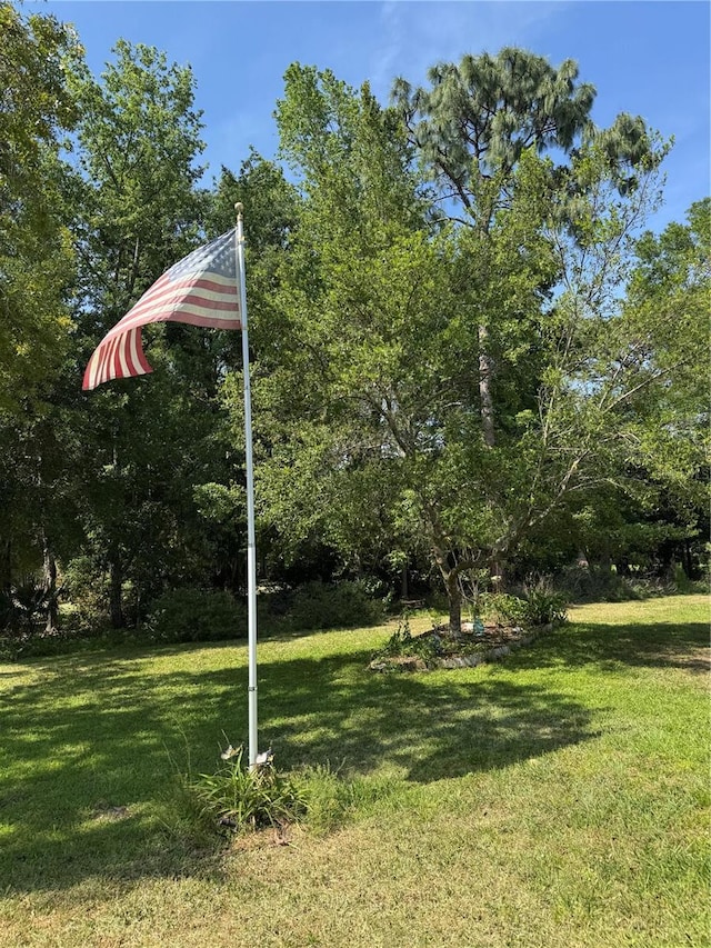 8951 SW 202nd Avenue Rd, Dunnellon, FL 34431 - view of green lawn