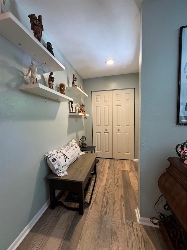 8951 SW 202nd Avenue Rd, Dunnellon, FL 34431 - corridor with light wood-style flooring and baseboards