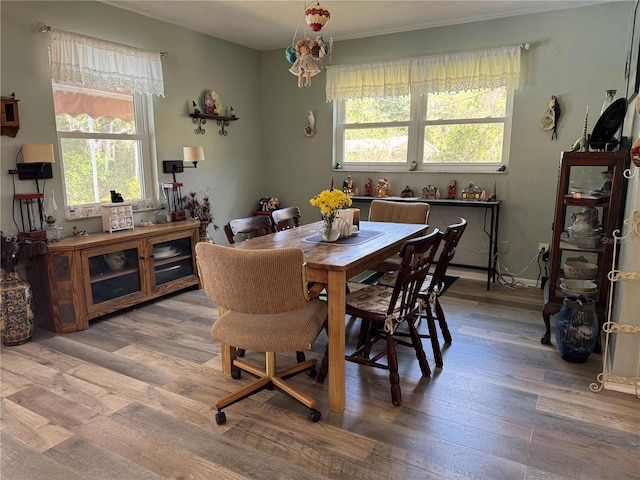 8951 SW 202nd Avenue Rd, Dunnellon, FL 34431 - dining area with wood finished floors