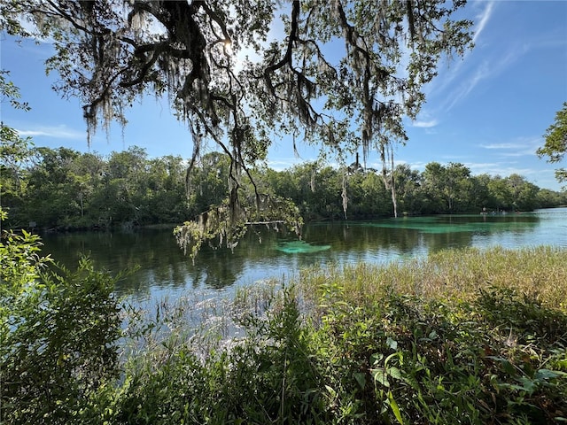 8951 SW 202nd Avenue Rd, Dunnellon, FL 34431 - water view with a heavily wooded area